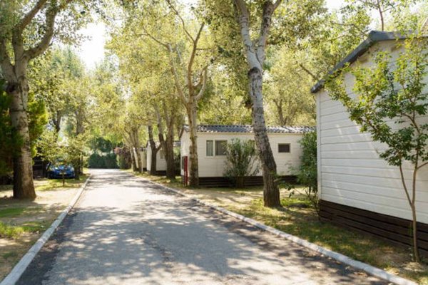 Location mobil home Morbihan pas cher : où trouver les meilleurs tarifs ?