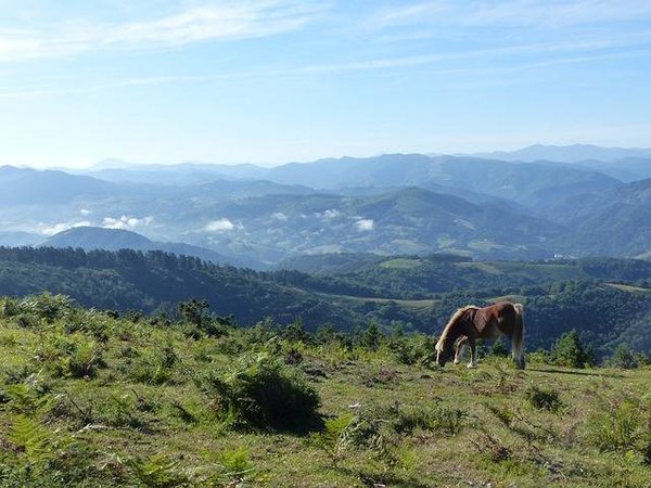 5 campings à découvrir au Pays Basque
